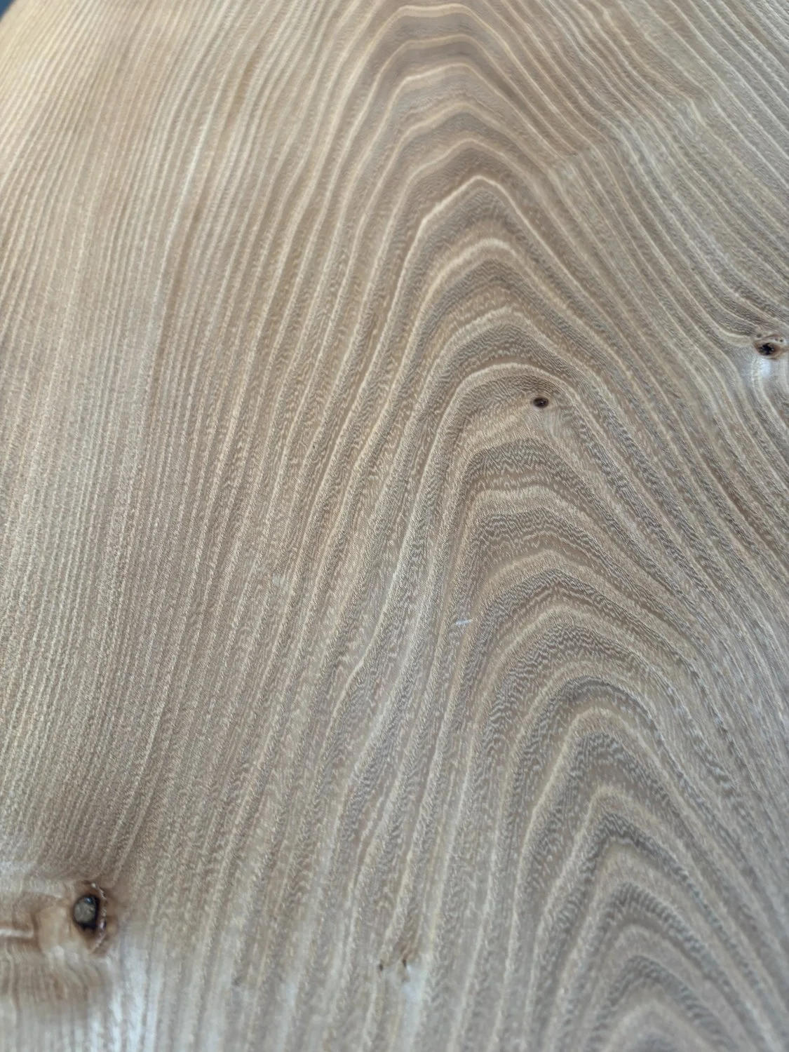 Elm wood grain.jpg