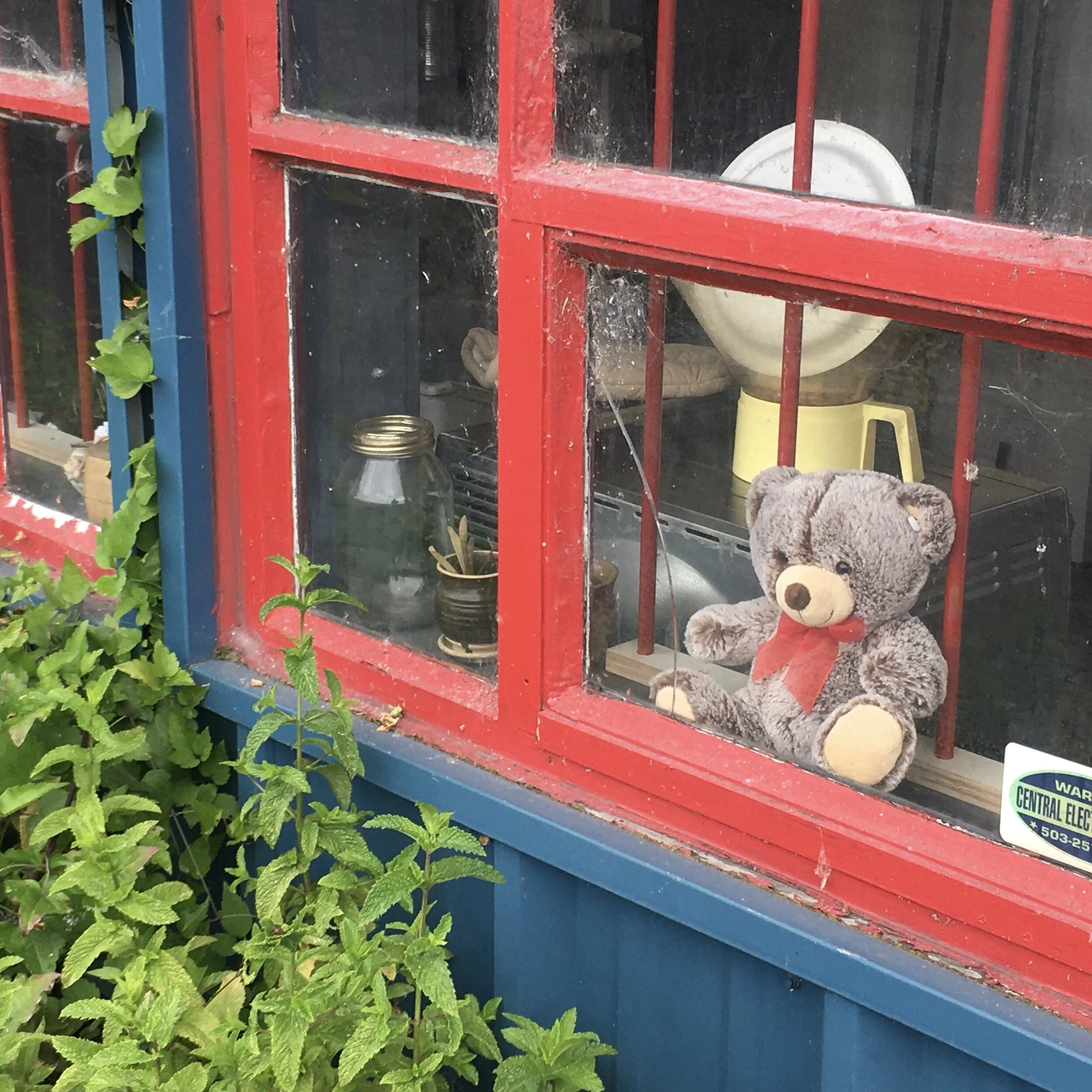 Front Window with Tedddy