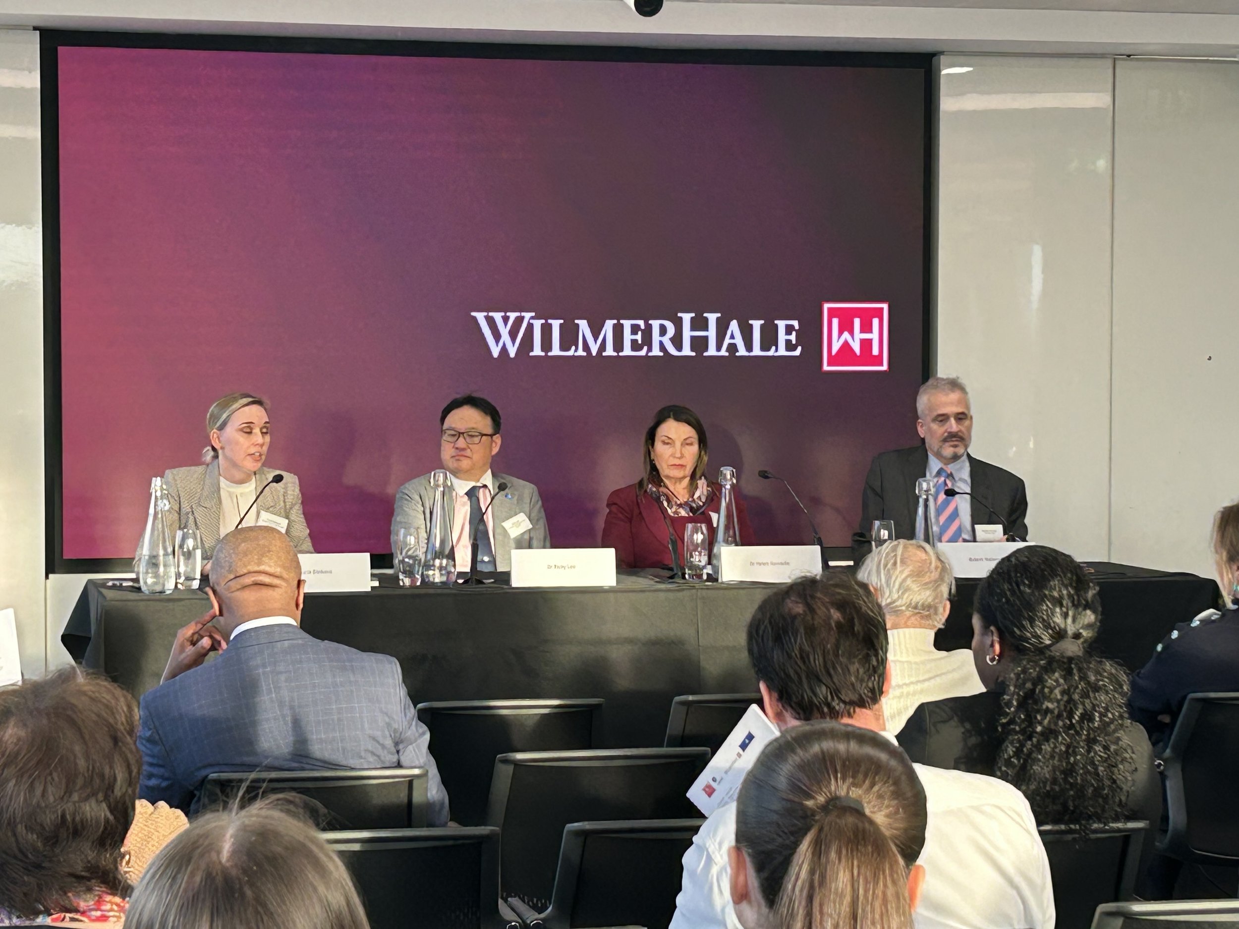 Panel IV: Small States &amp; Boundaries 