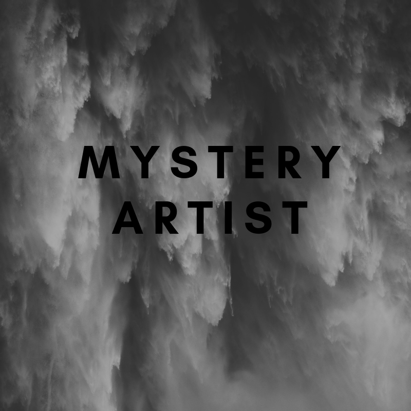 Mystery Artist.png