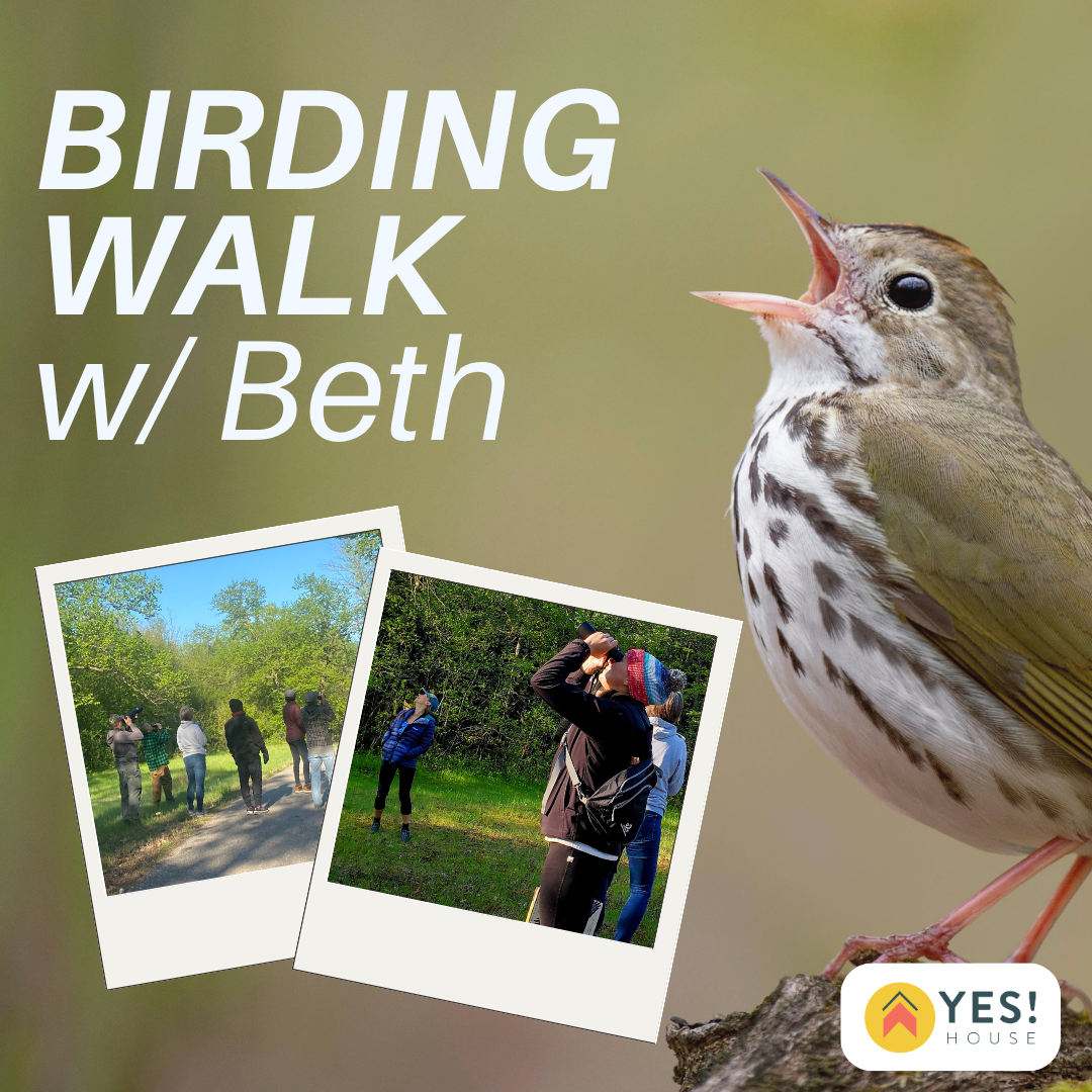 Birding Walk w/ Beth!