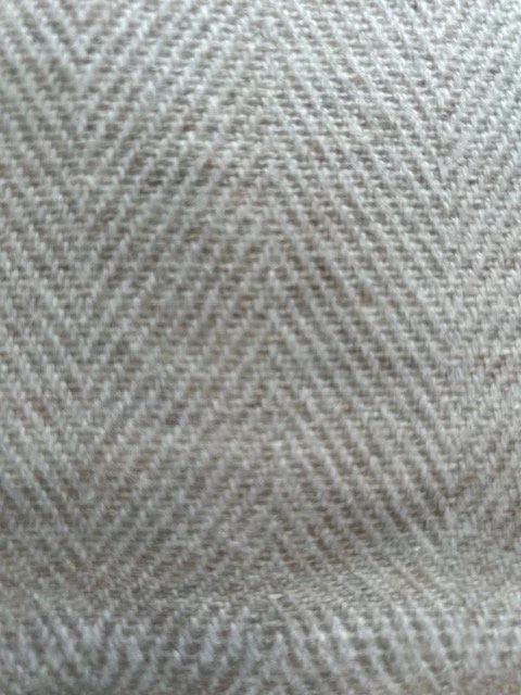 IMG_6873.jpeg
