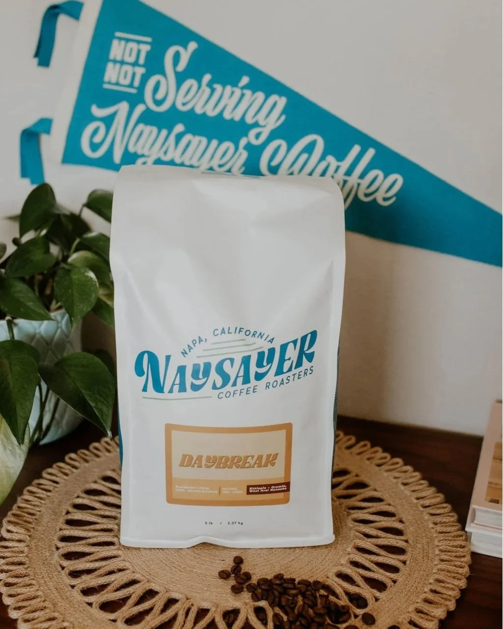 5 LB Bag of Naysayer