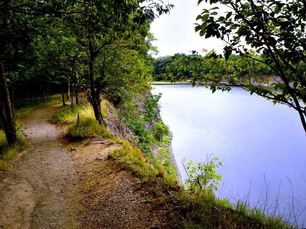 Mindful Walk at Peebles Island