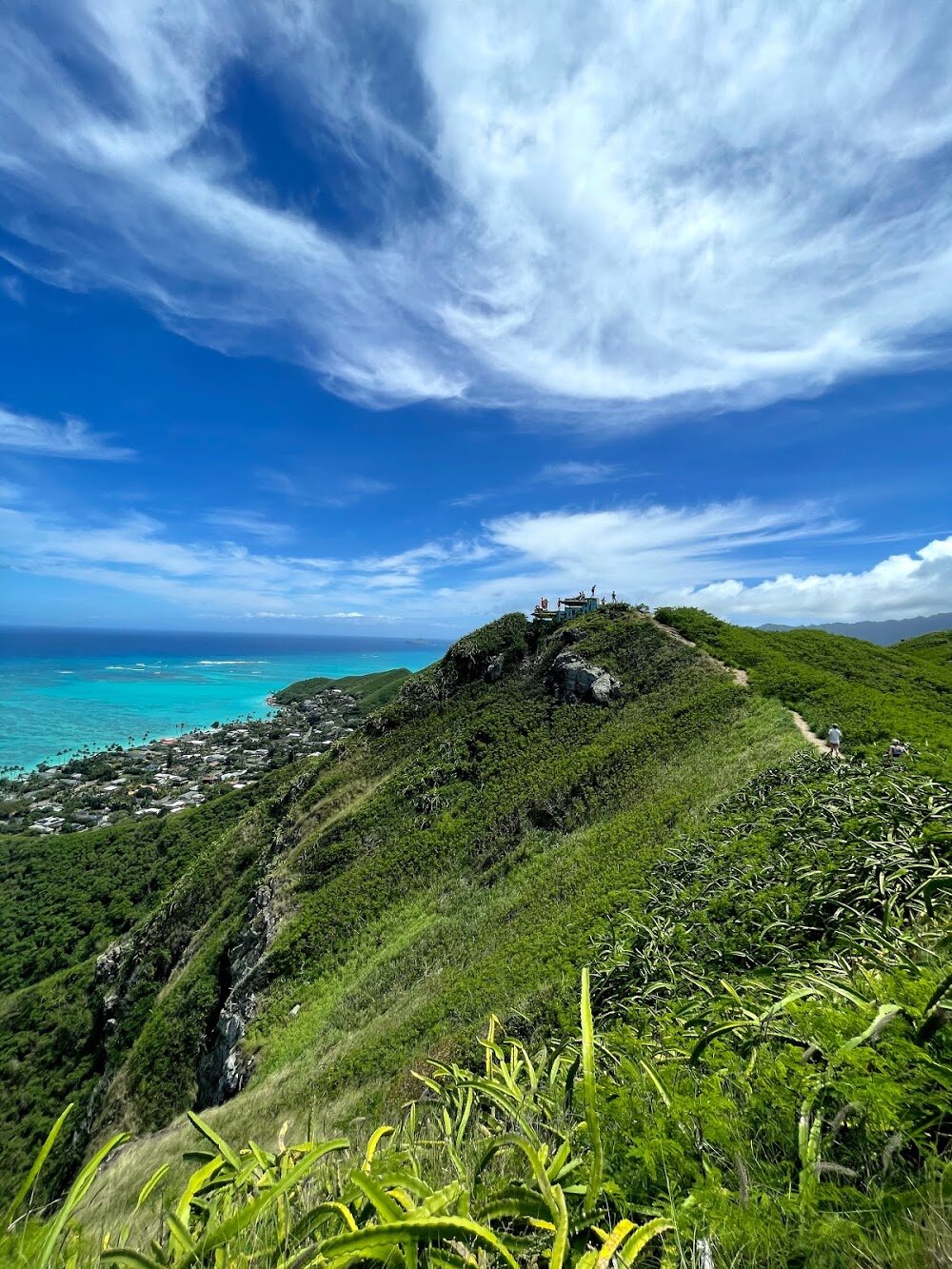 3 Easy Steps to Get COVID Clearance into Hawaii