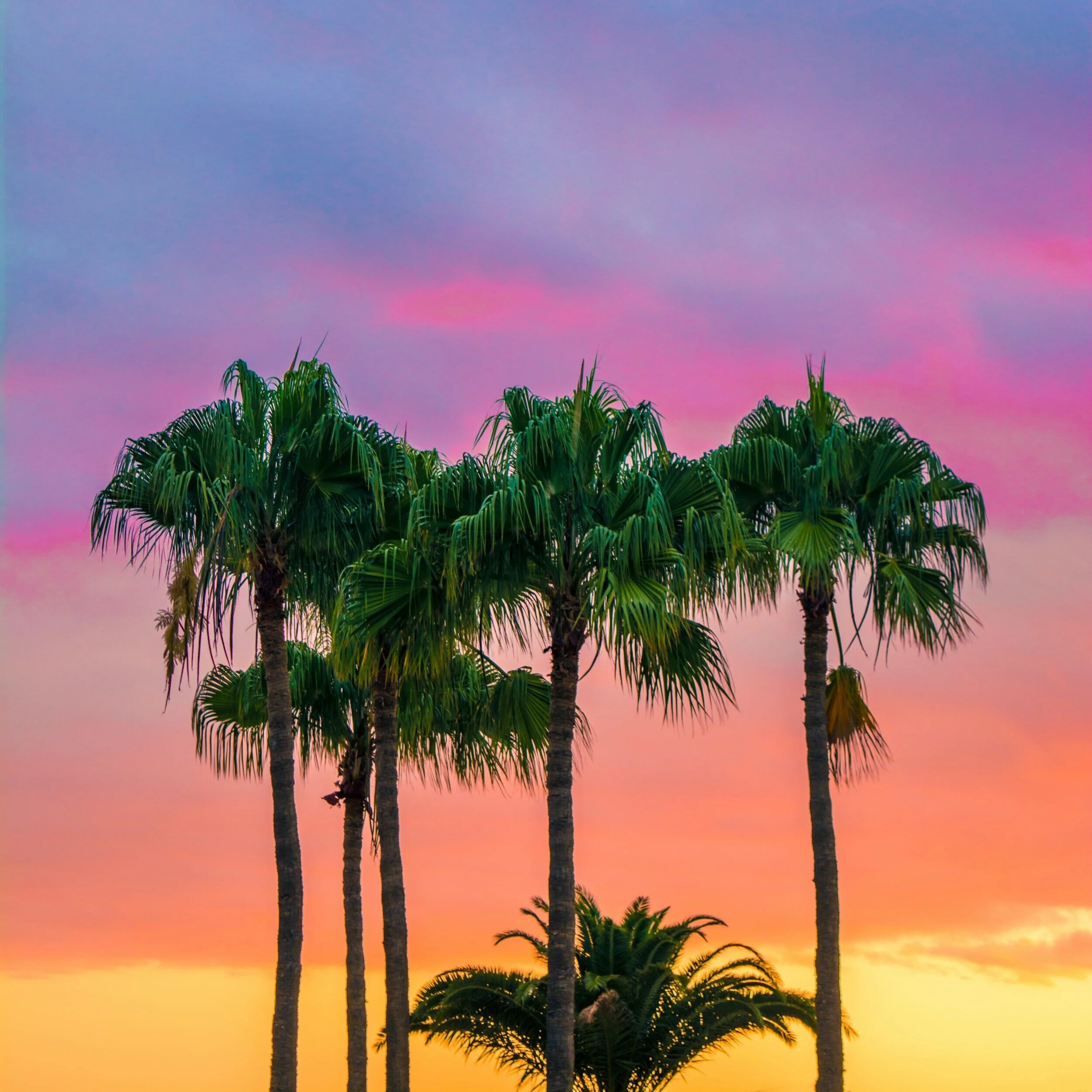 Banish Stress from Your Trip Planning