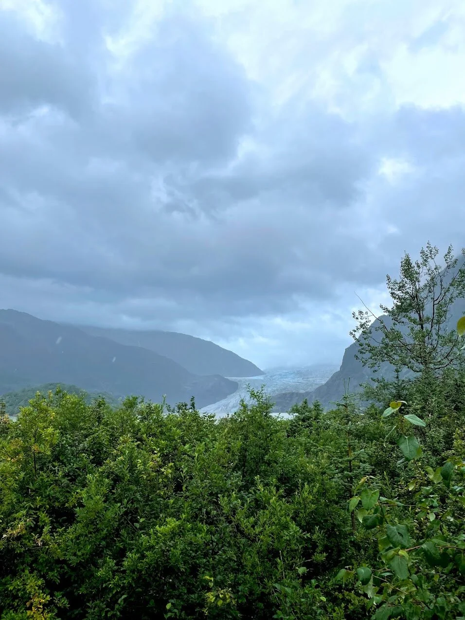 5 Fun Cruise Excursions in Juneau, Alaska