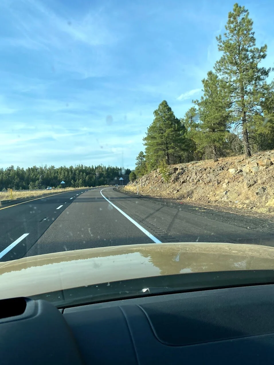 4 Things to Plan When Heading Out on a Family Road Trip