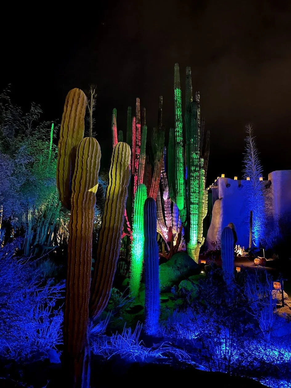 How To Pick The Perfect Holiday Destination