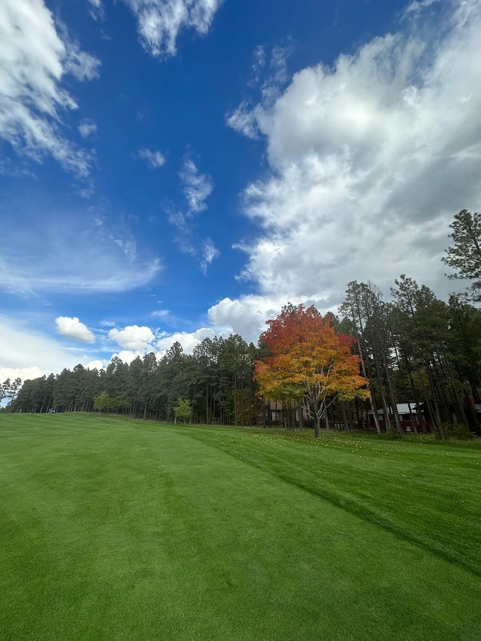 Exciting Family Travel Trends That Will Bring Contentment and Adventure in 2023