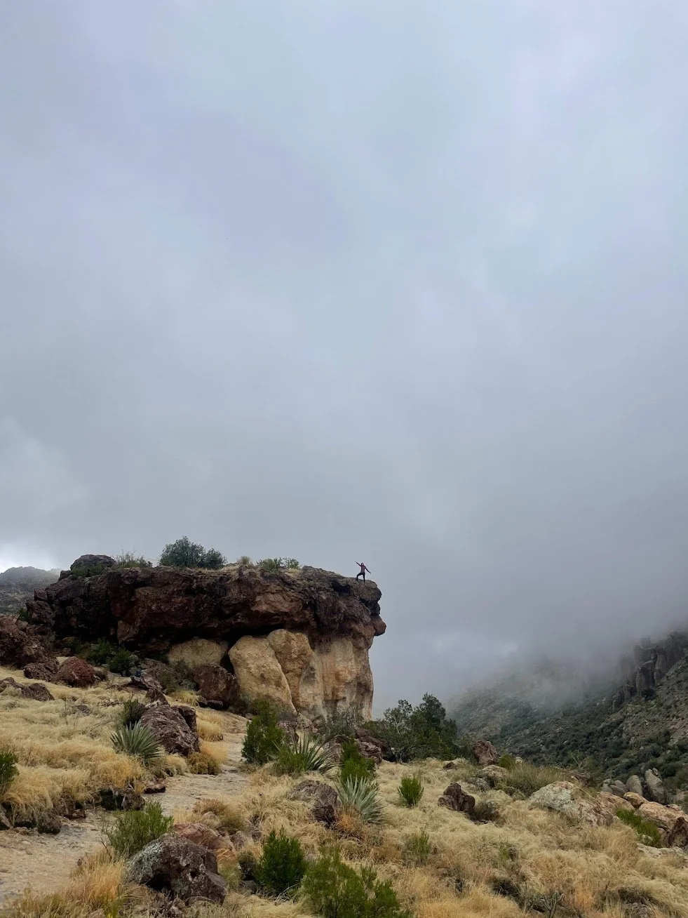 How to Dream Up and Plan the Best Travel Experiences for your Family in 2023