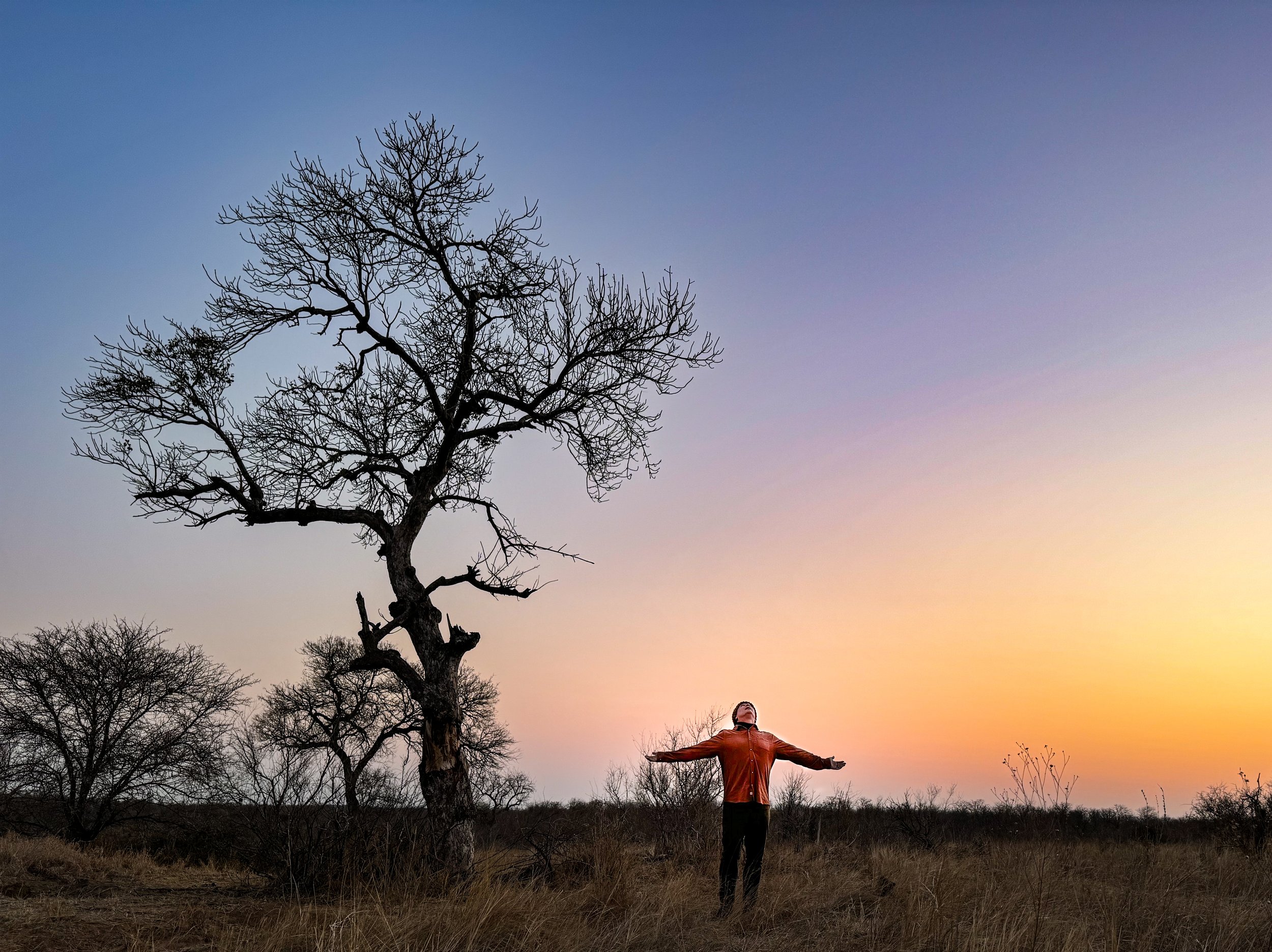 10 Things You Need to Know Before Your First African Safari