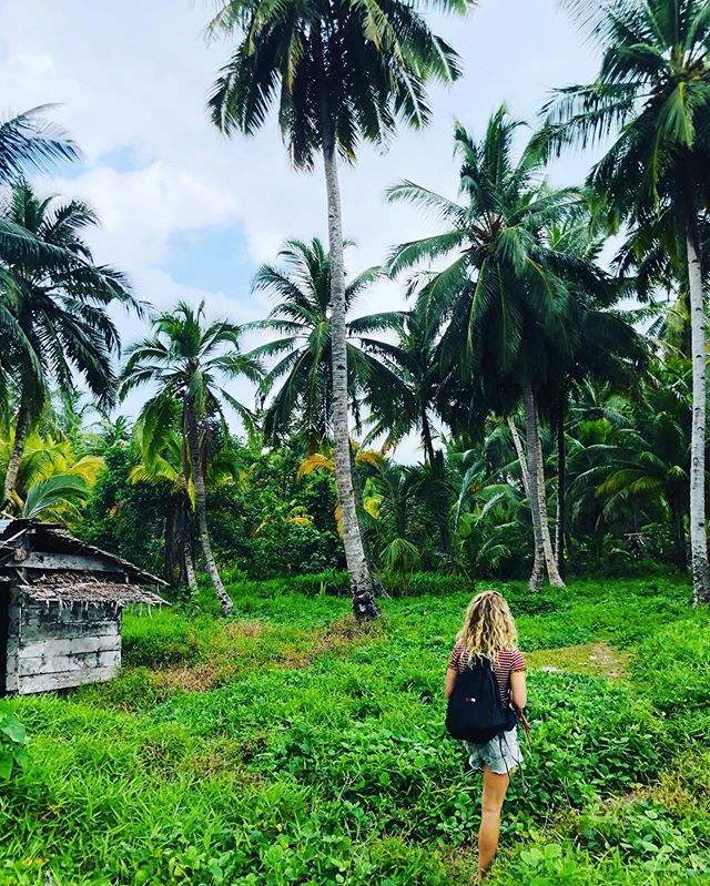 Topping up on my greens 🌴🌴🌴
~
~
~
~
~
📷 @justin__sykes 
#plantintelligence #junglevibes #coconutfarm #mentawai #mentawaisurfretreat #refuel #gogreen #inhale #islandlife #westsumatra #indonesia #surf #yoga #surfyogaretreat #mana #feelthemana