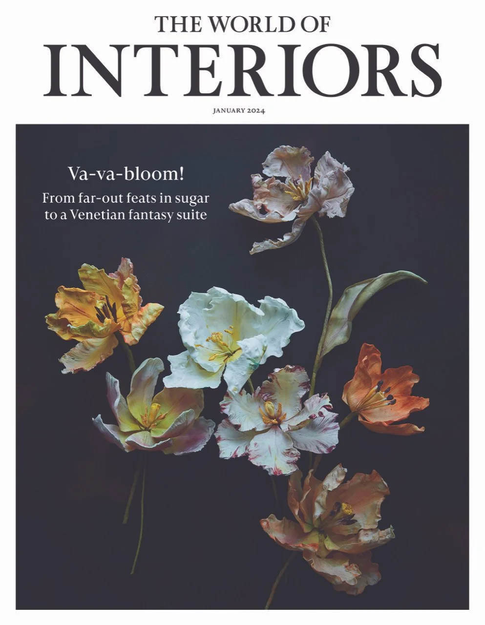 WOI Jan 2024 cover.jpeg