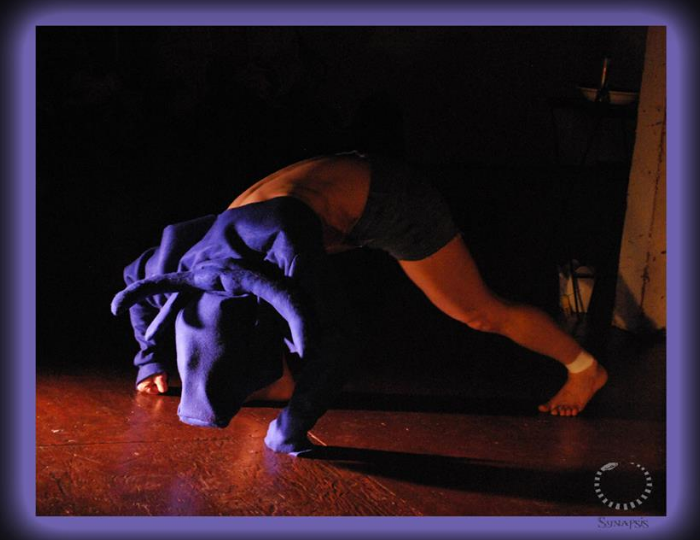 Synapsis Performance Collective