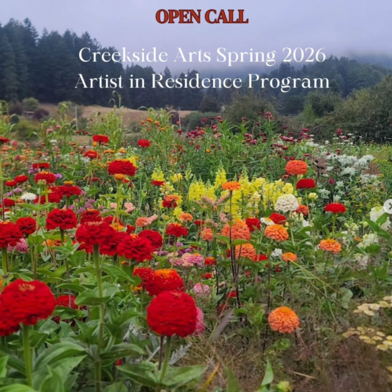P00112 Creekside Arts Residency Application Fee