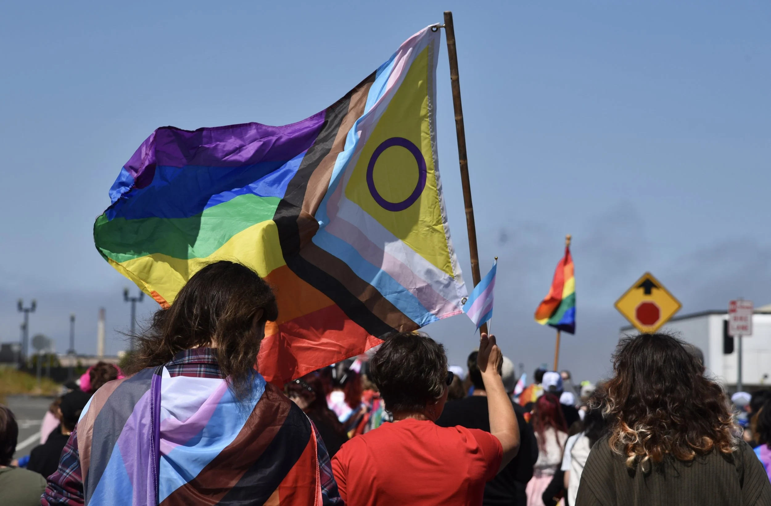 Flag_Redwood_Pride_Vanderheiden.jpeg