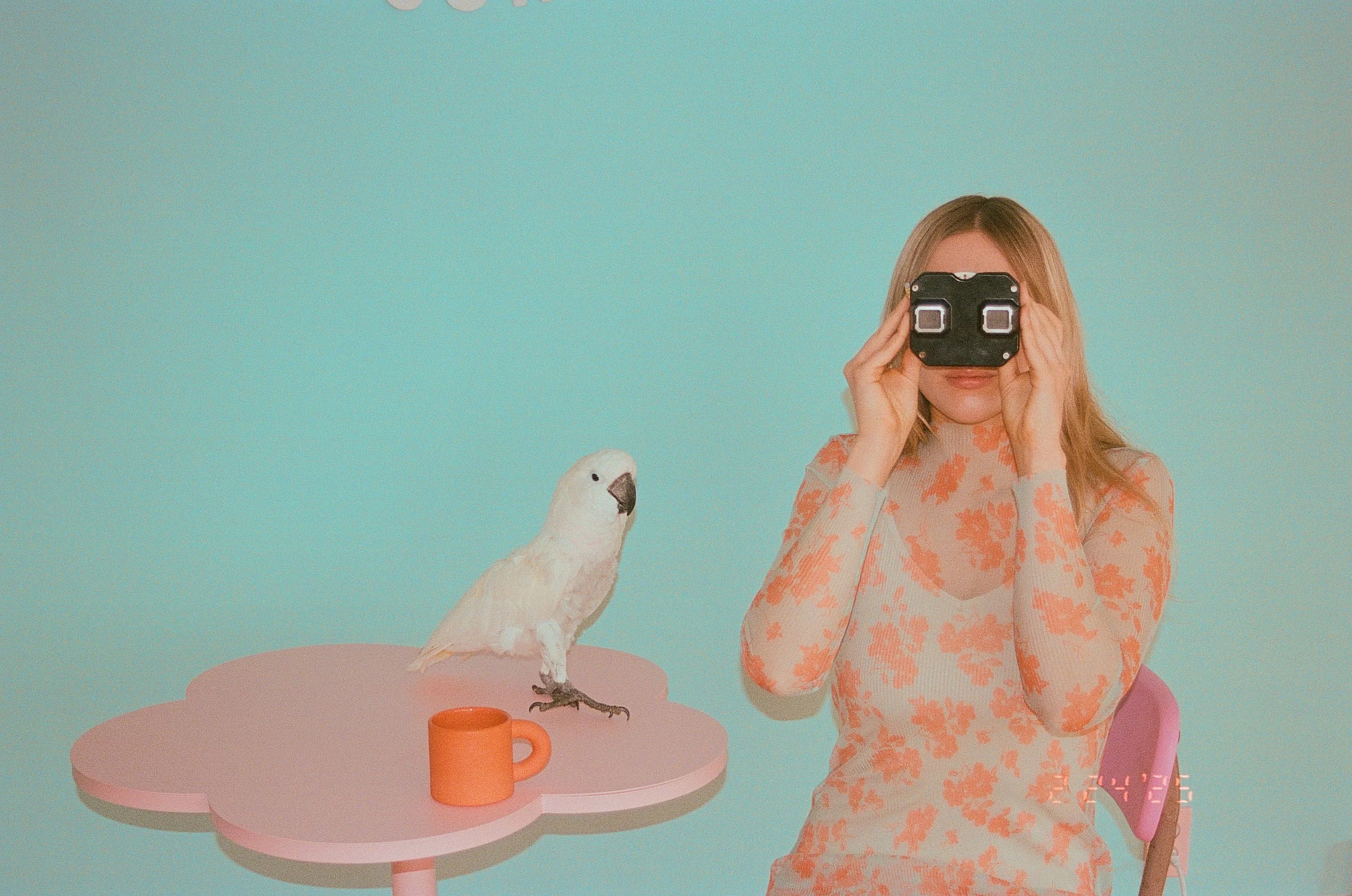 viewfinder.jpg