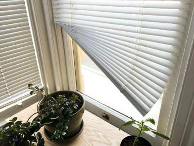 Can Window Blinds Be Repaired?