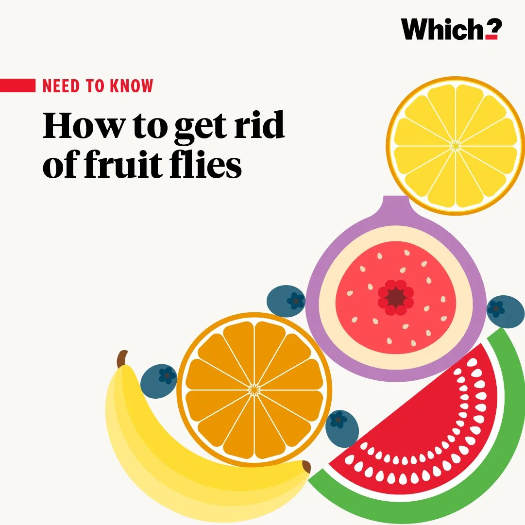 708 fli fruit es copy 2.jpg