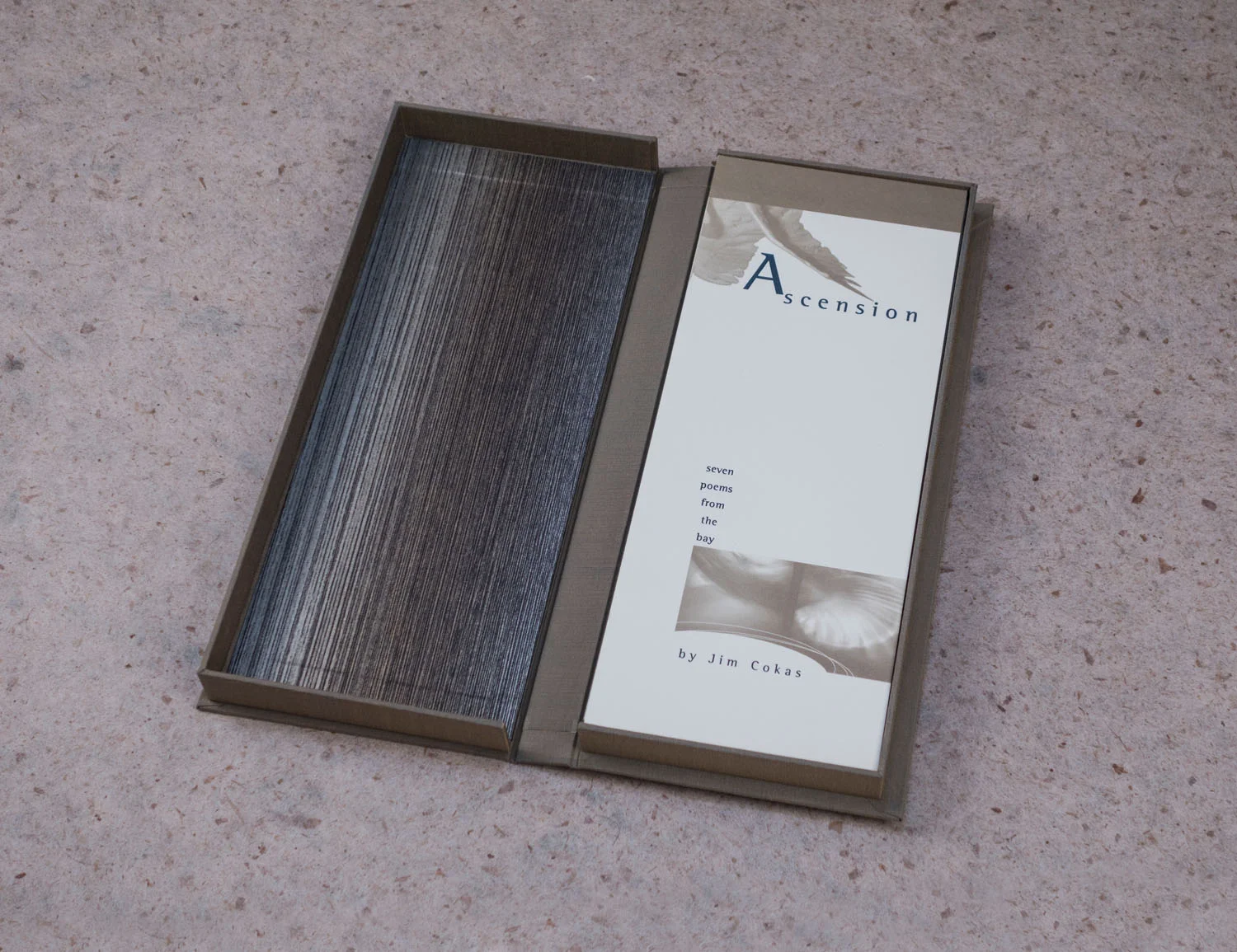 Ascension Book
