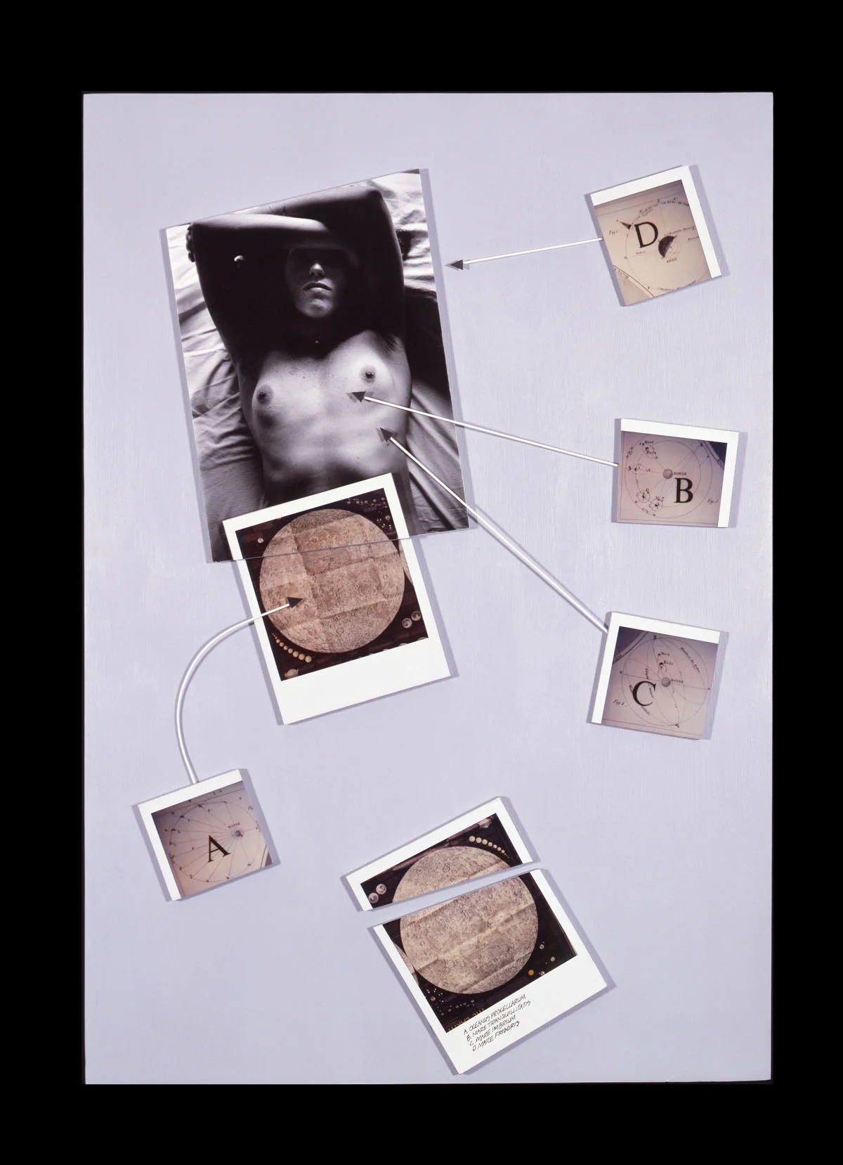 The Moon is Always a Woman 19”H x 12” W x 2”D, gelatin silver print, Polaroid SX-70 prints, wire, acrylic paint, masonite