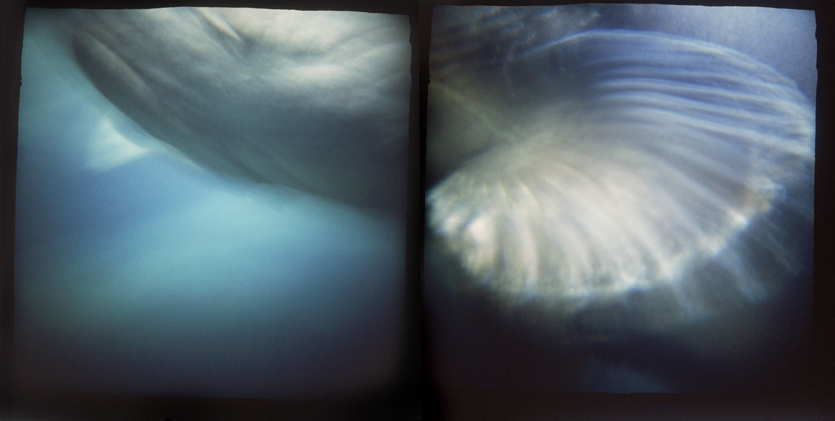 Abyss 5