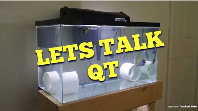 New video is up. We cover some great topics on QT on my journey to start one. Link in bio