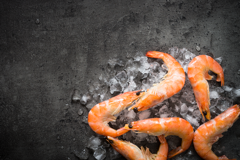 Kiwifish-Prawns.png