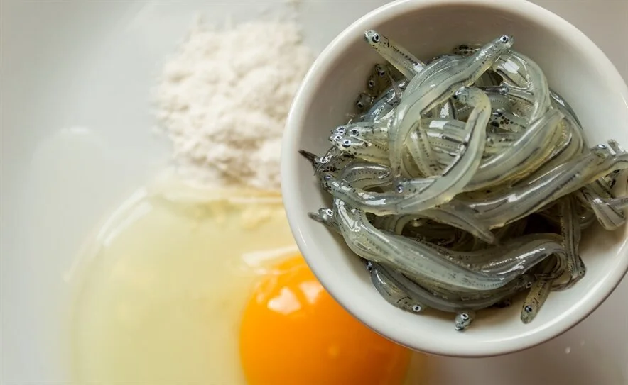 Kiwifish-Whitebait.jpg
