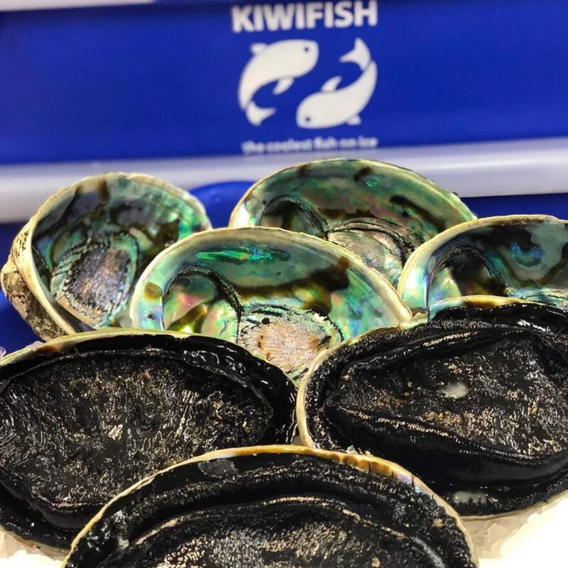 Kiwifish-other-frozen.jpg