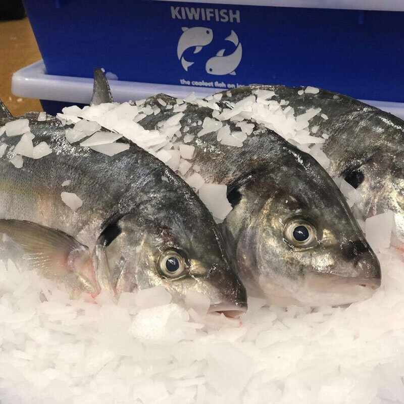 Shop Online — Kiwi Fish | Your premium seafood wholesaler