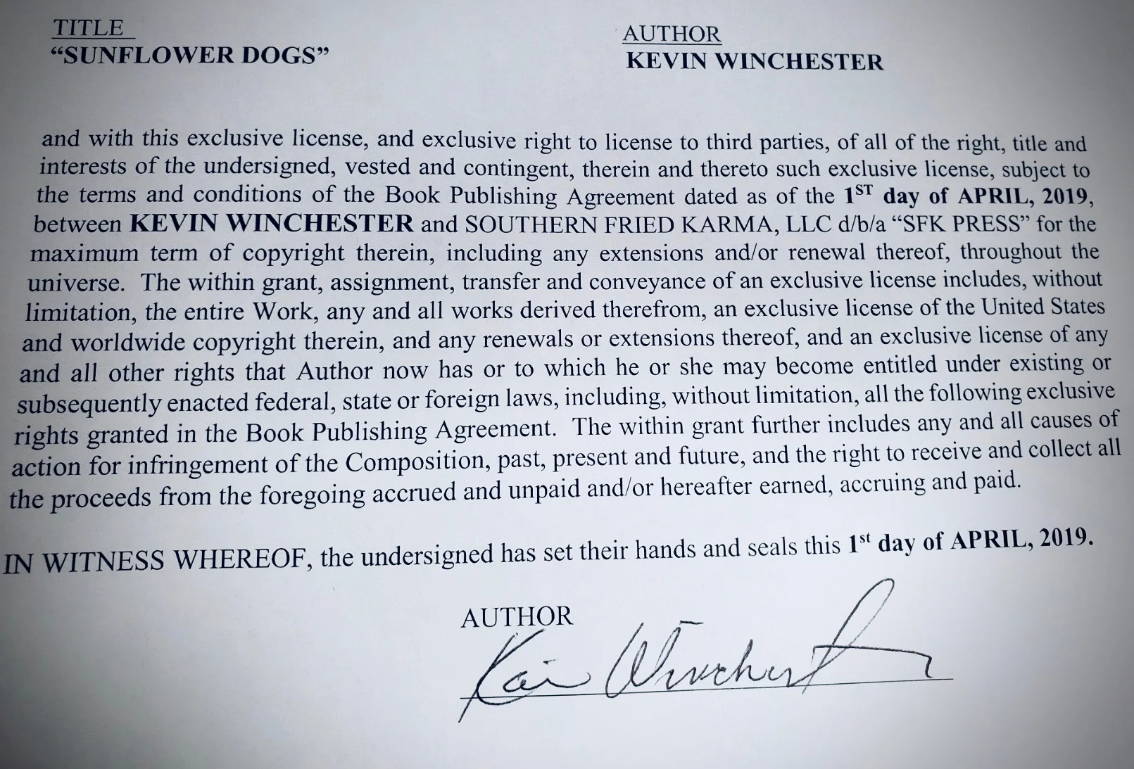 Here We Go, Looks Like We're Gonna Publish a Novel