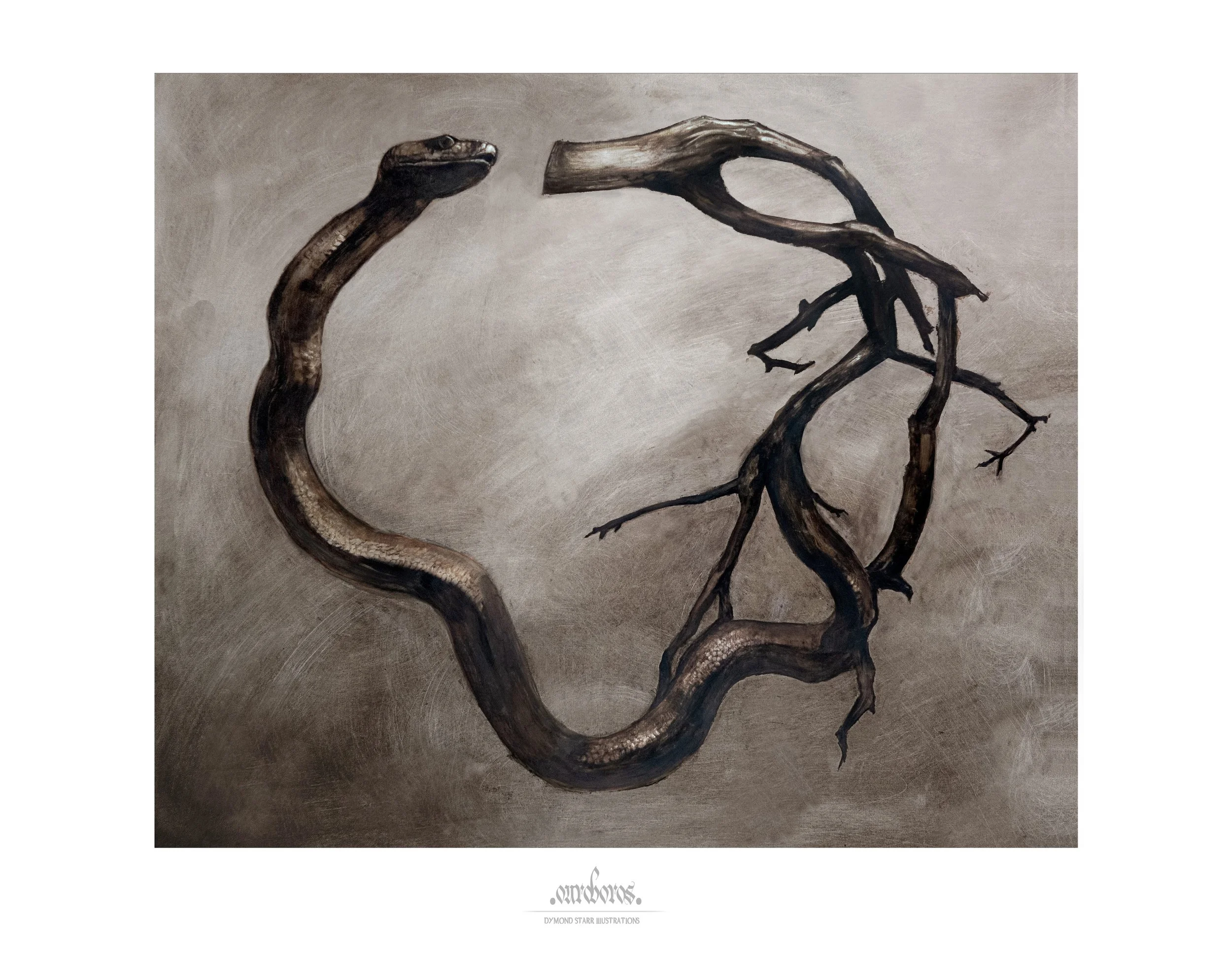 Dymond_oroborus_highREZ_RegularPrint.jpg