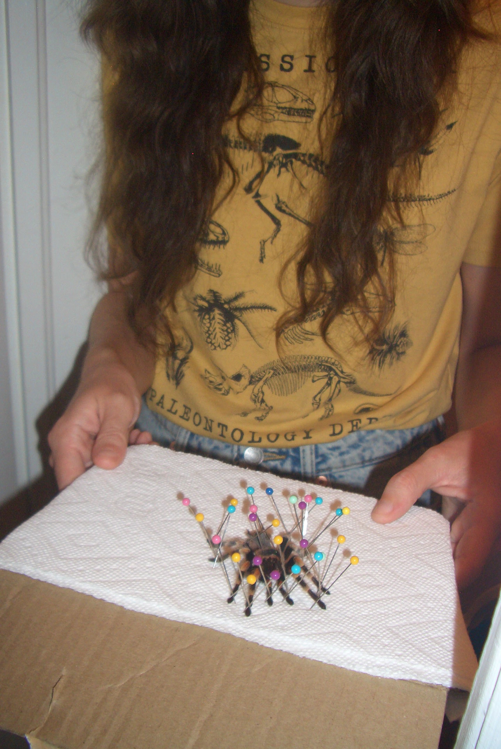 Thorax