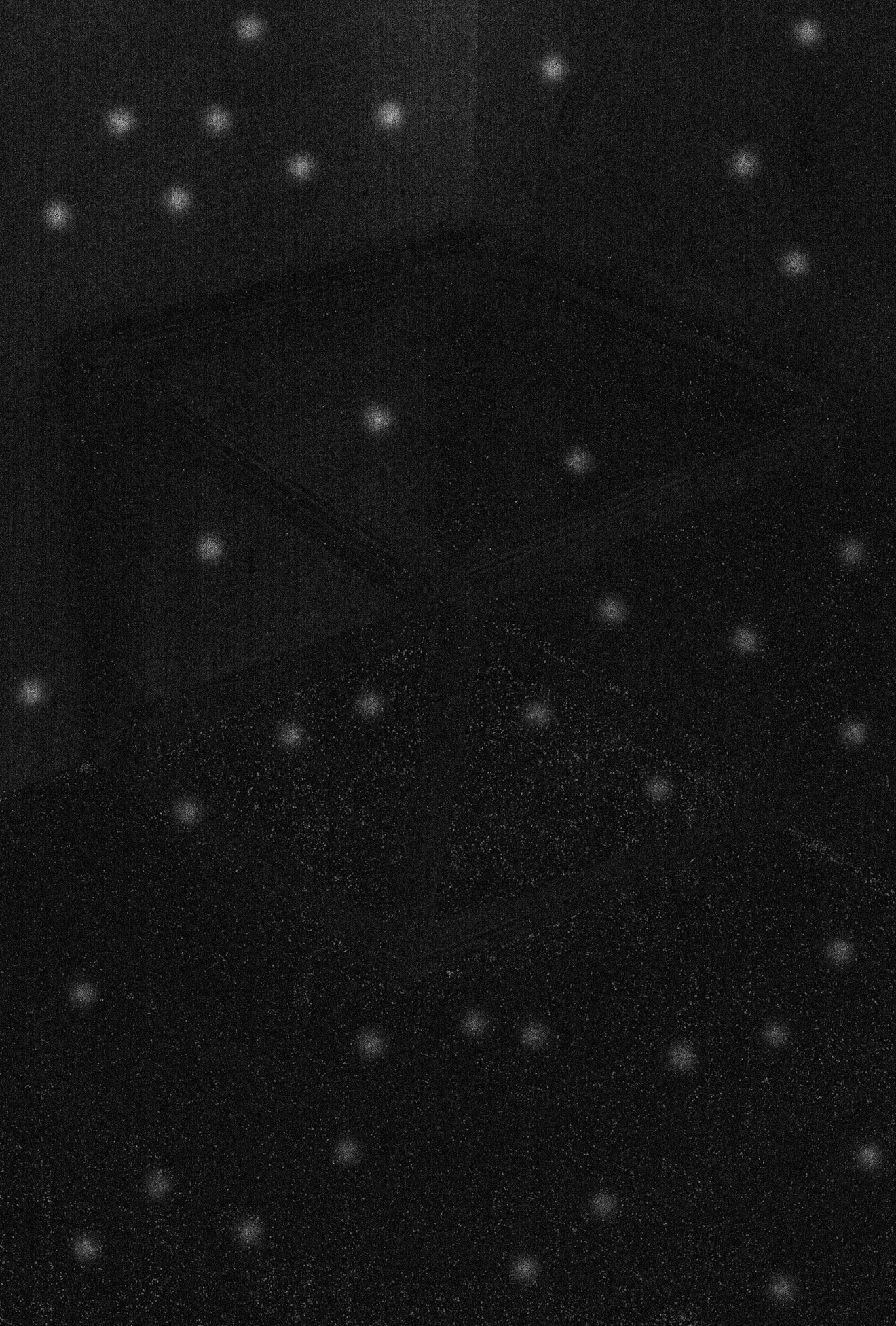 IMG_5438.jpeg