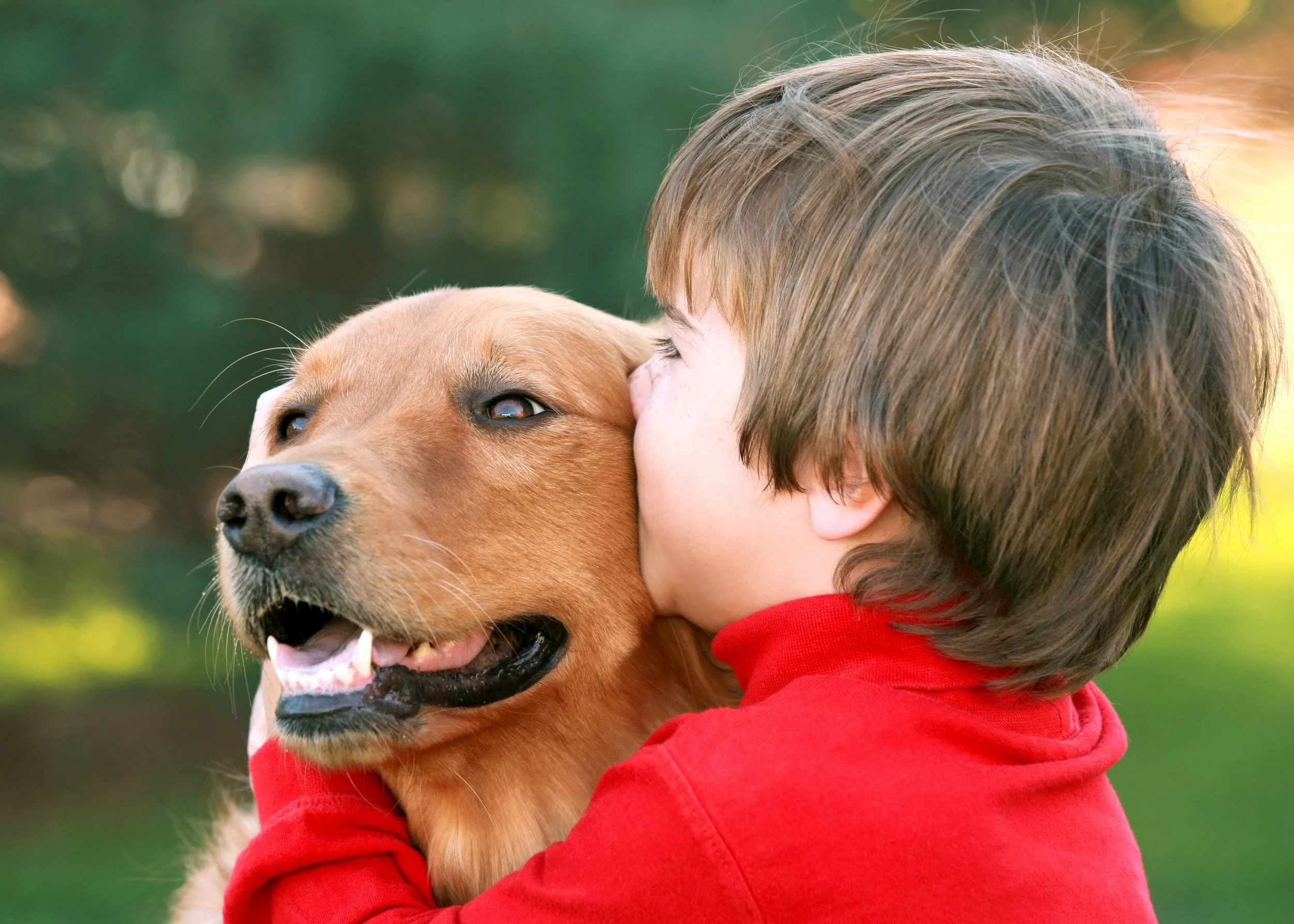 service-dog-kid.jpeg