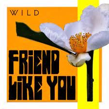 Friend Like You - WILD.jpeg