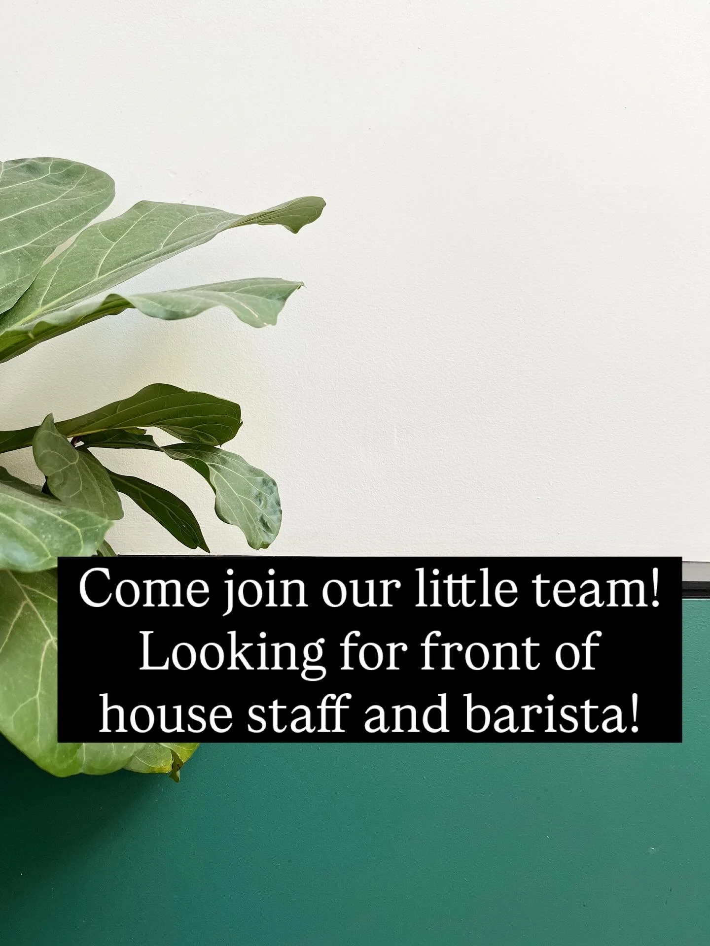 Getting excited for the warmer months and ready to grow our little team! 
Experience essential in both roles, particularly the barista position. 
Get in touch by dropping by or emailing your resume through to info@bertahobart.com.au 👏
.
.
.
#joinour