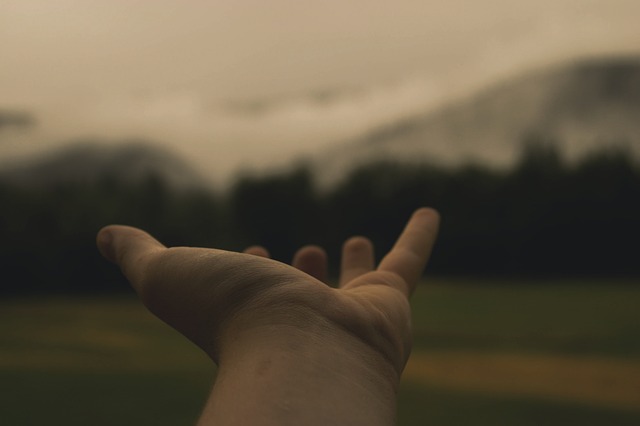 hand-846092_640.jpg