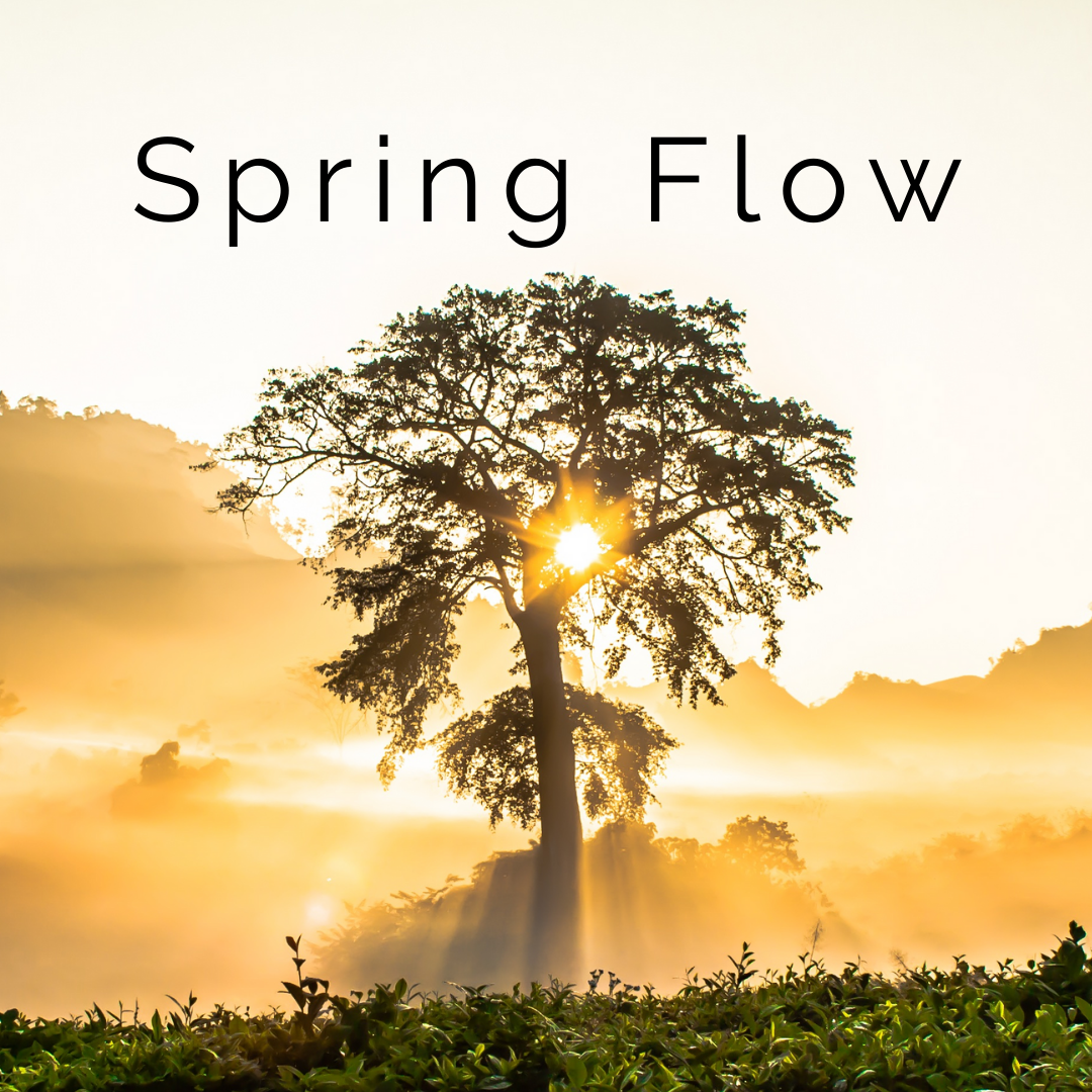 Spring Flow.png