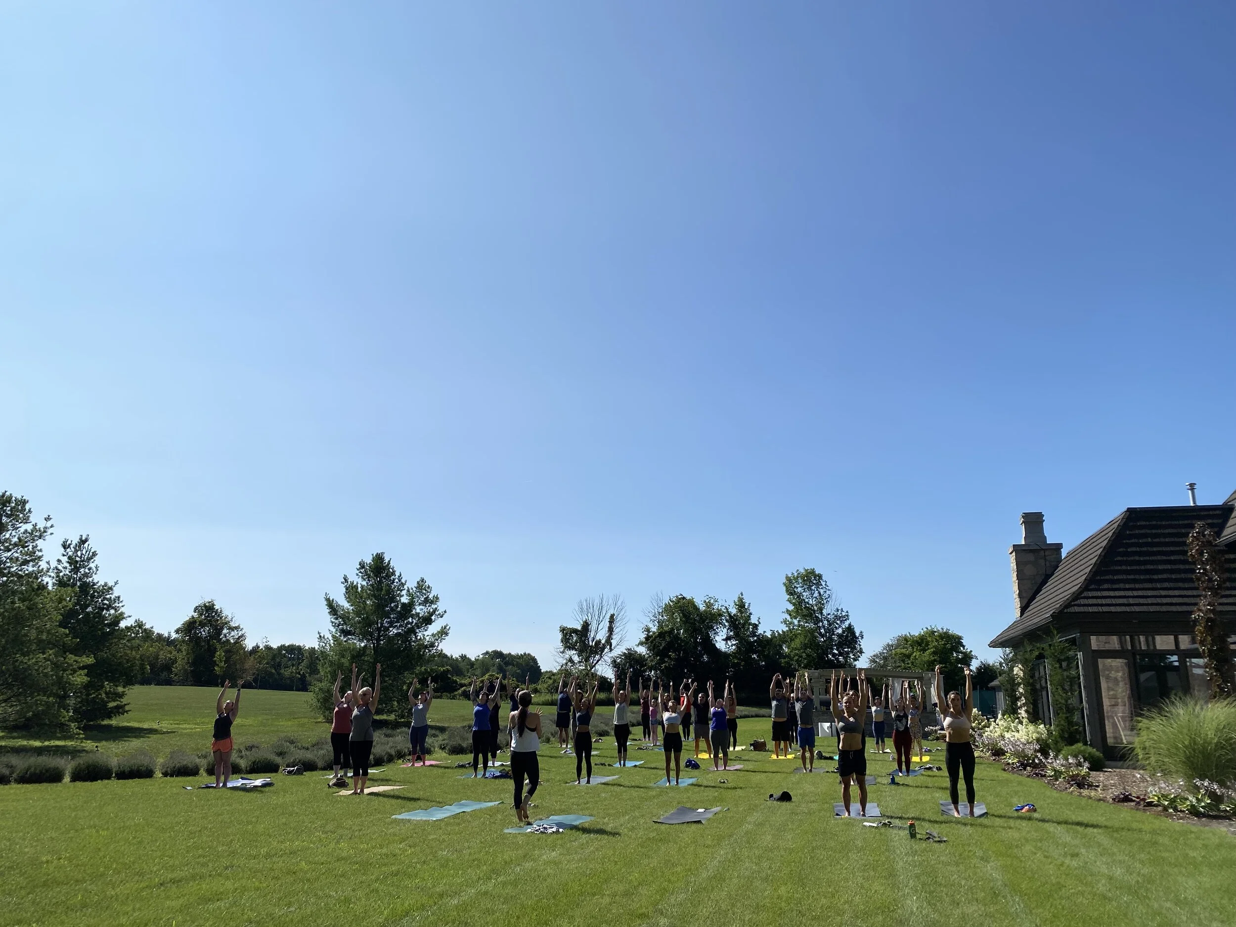 A day to move and rest. SOLD OUT