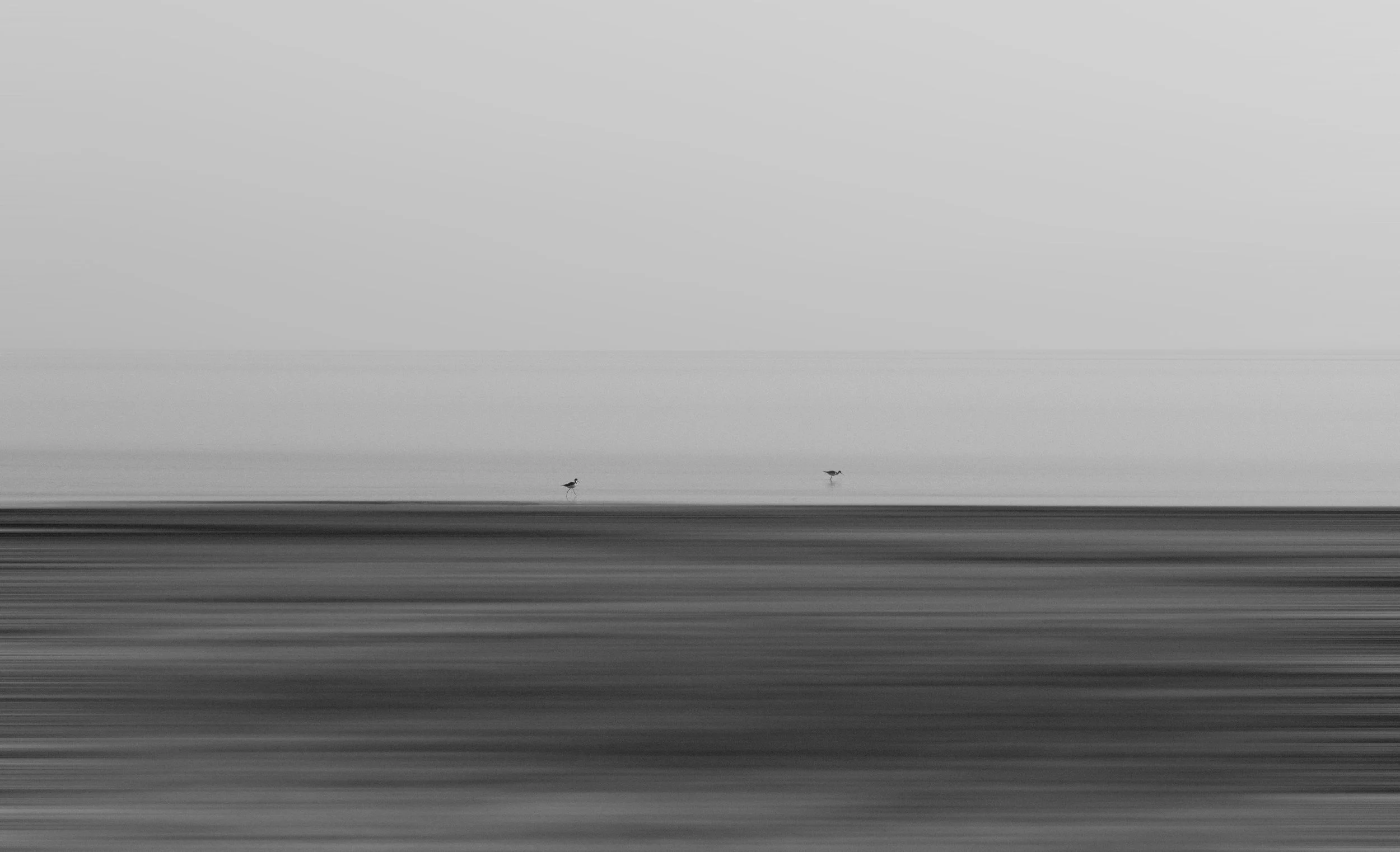 214A0125.jpg