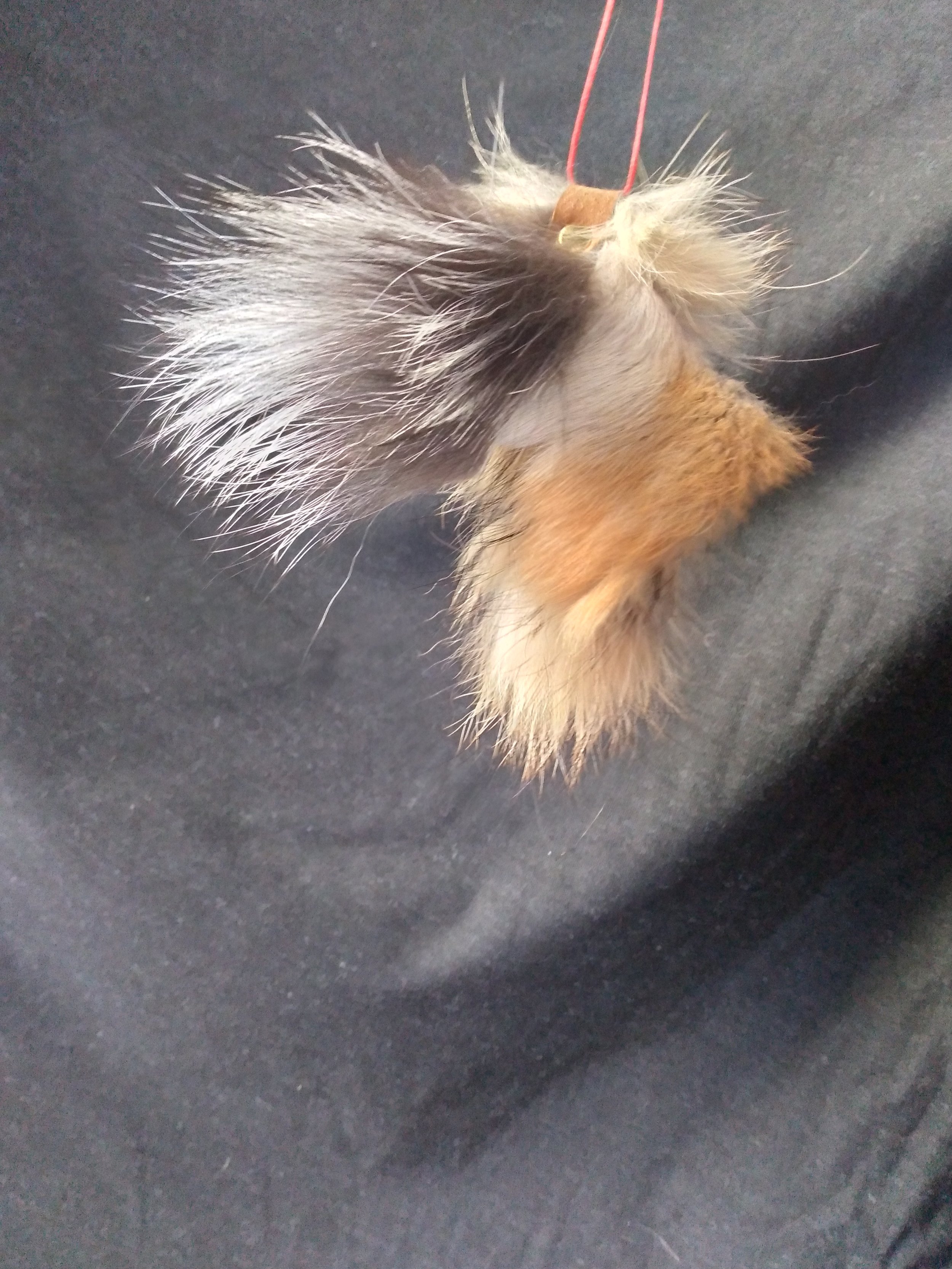 20241028_154004.jpg