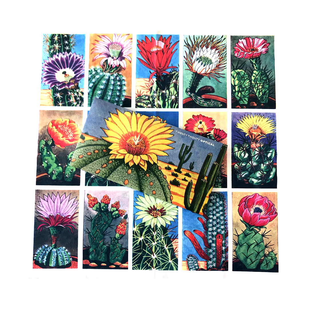 20/20 Lens Cloth - Cacti Flowers