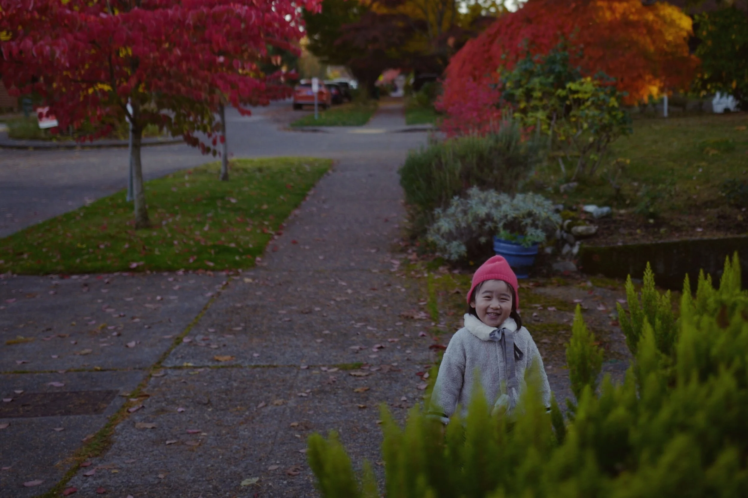 JPEG image-1065D7B7DE35-1.jpeg