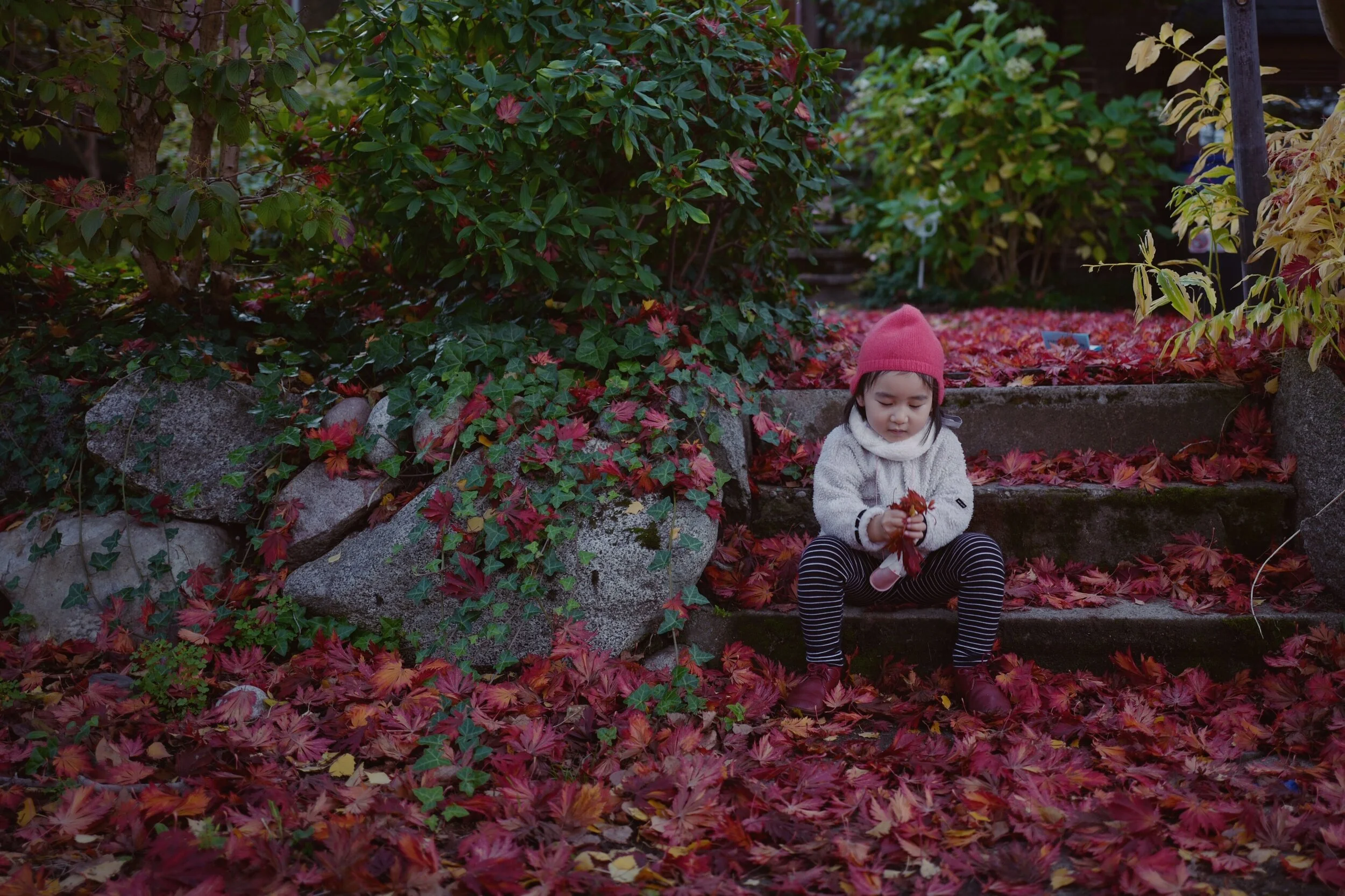 JPEG image-9A7C4001A110-1.jpeg