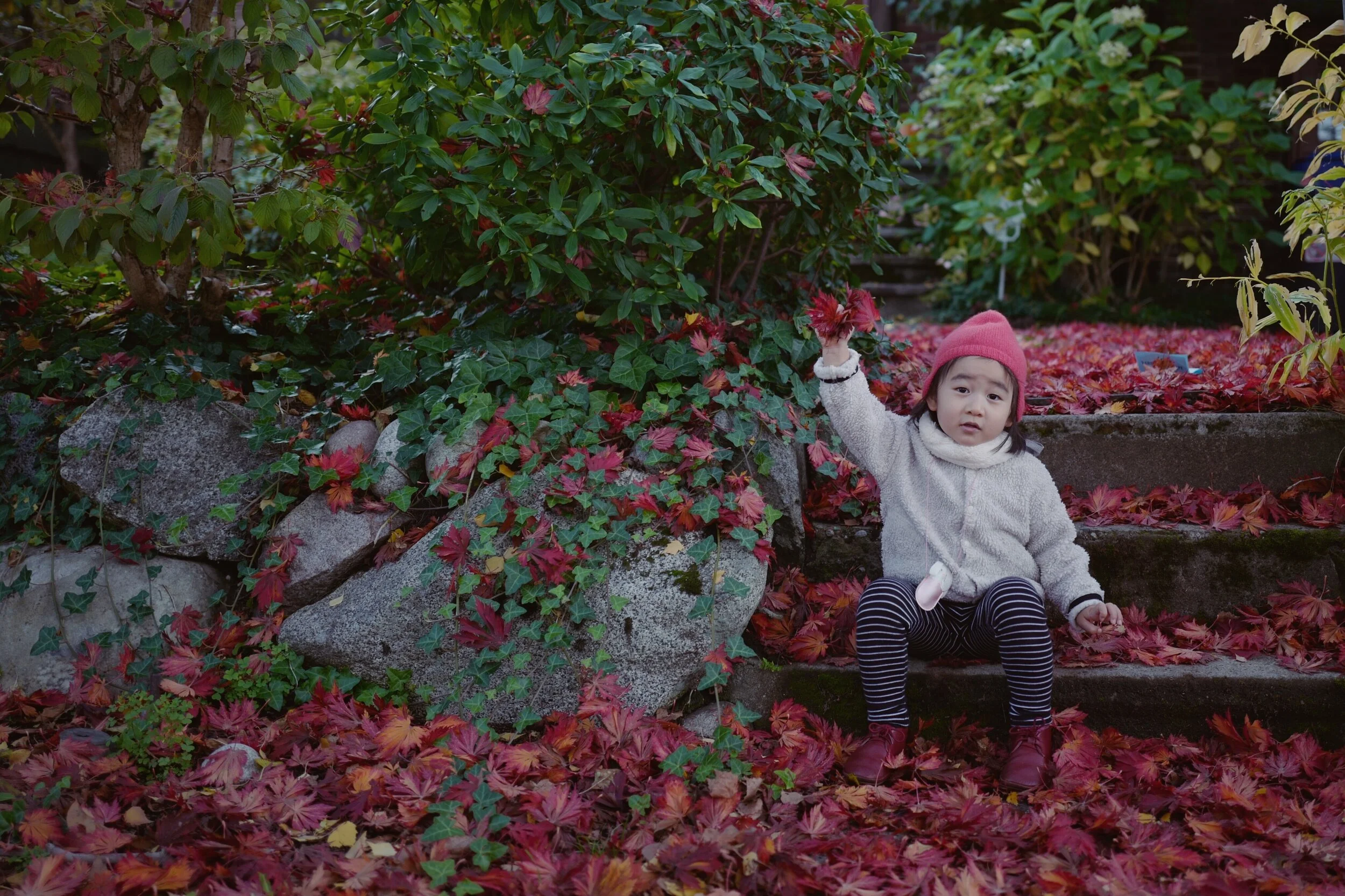 JPEG image-6EE1BA8EC61B-1.jpeg