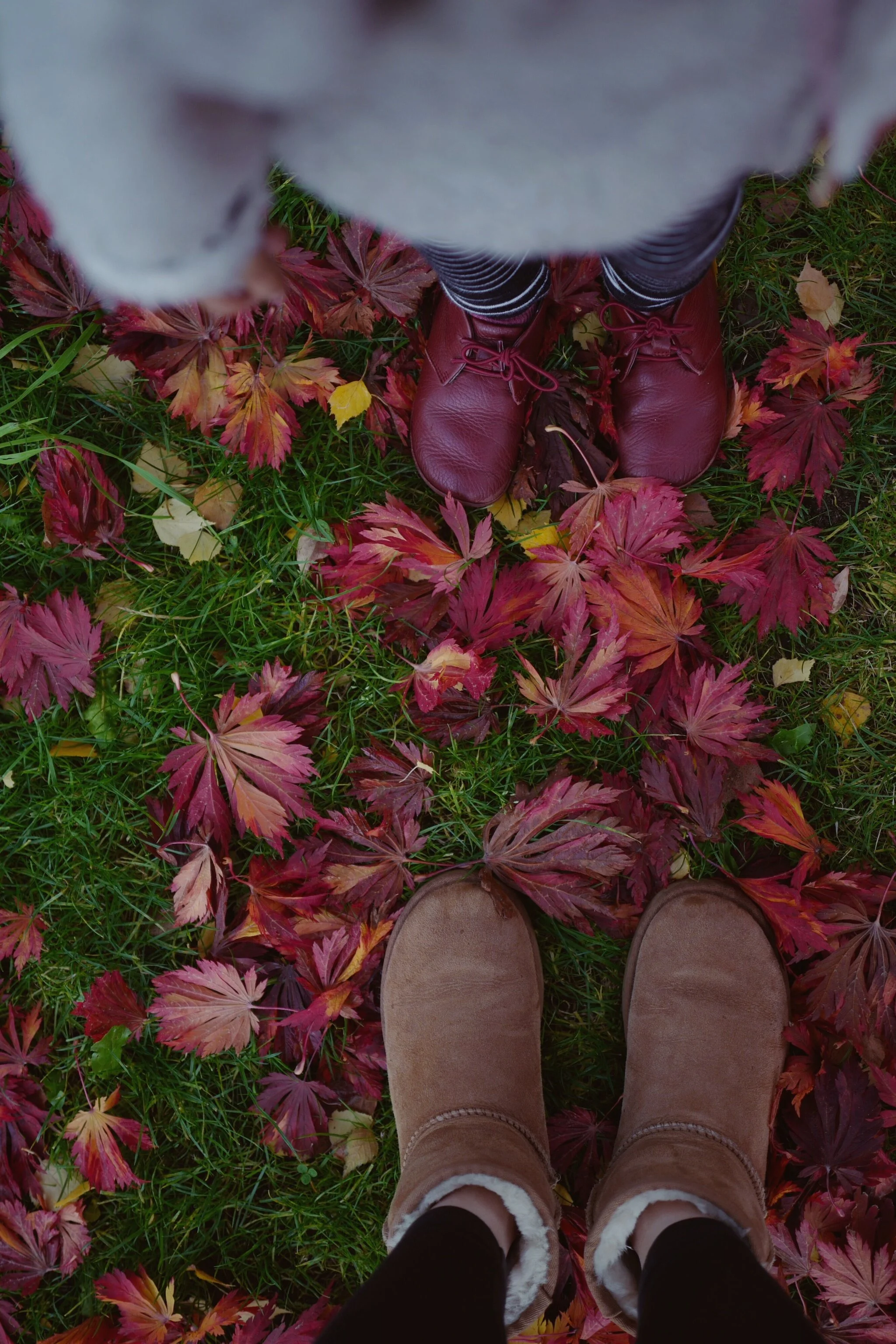 JPEG image-87035ED05983-1.jpeg