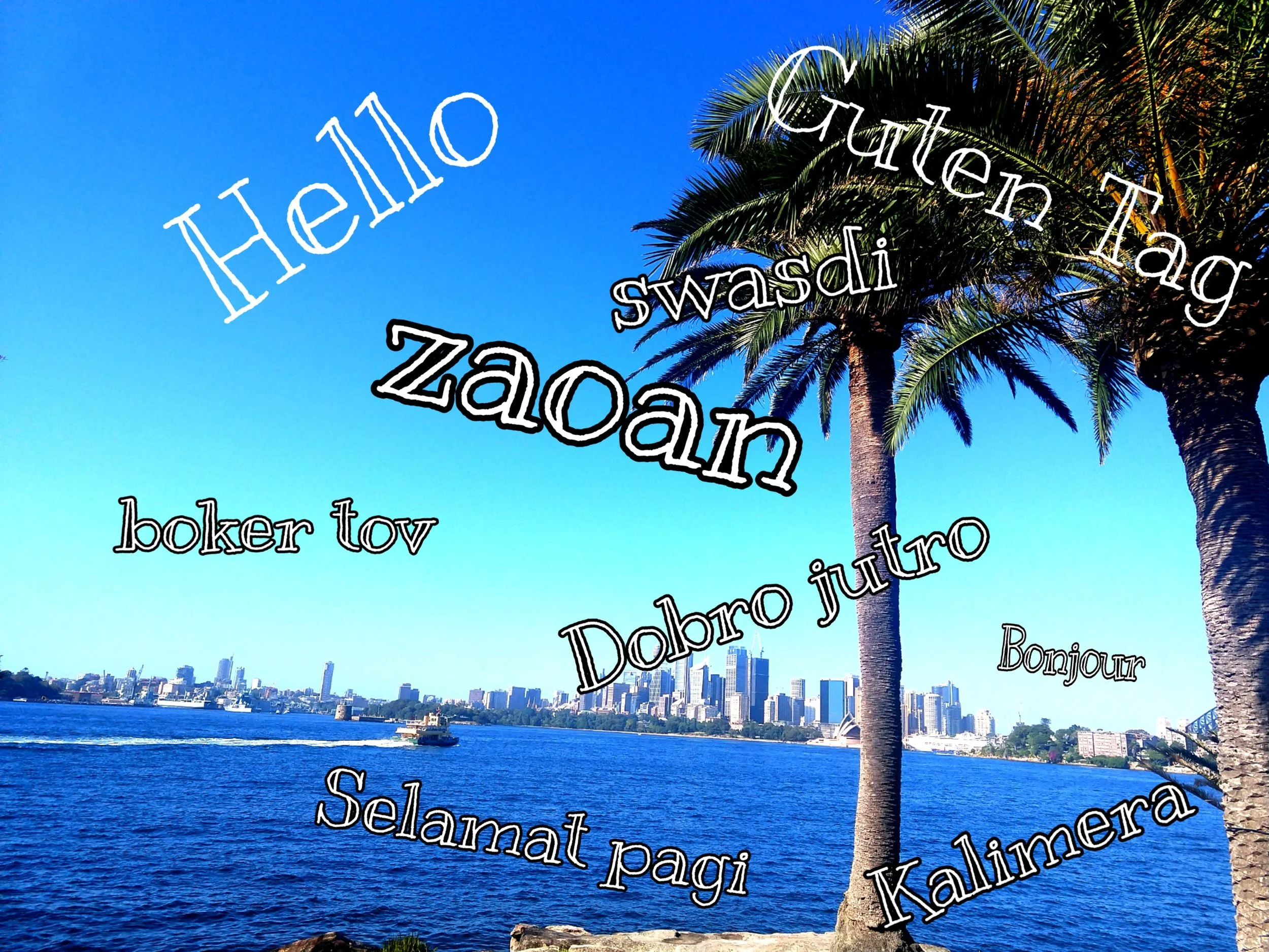 Learning the Language of the Country You Visit
